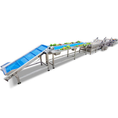 Automatic Brush Type Potato Fruit And Vegetable Processing Line