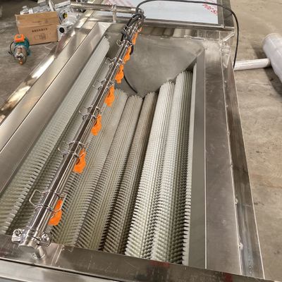 500kg/h Carrot Wool rolle Peeling Machine  Bubble Washer Vegetable And Fruit Cleaning Machine Vegetable Processing Line