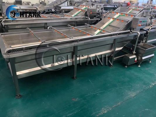 Single Tank Ozone Based Vegetable Fruit Bubble Washing Machine