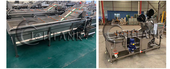 Single Tank Ozone Based Vegetable Fruit Bubble Washing Machine