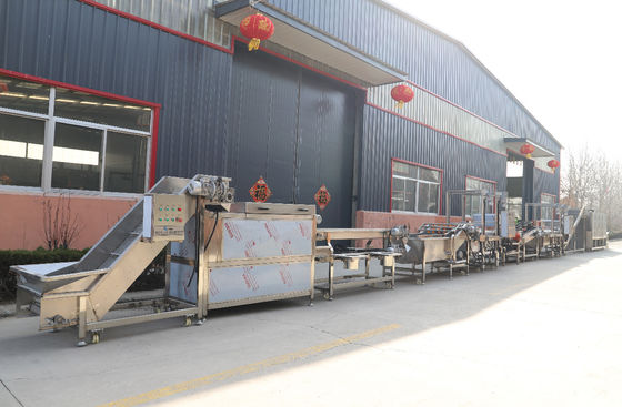 1000kg/H French Fries Potato Chips Production Line