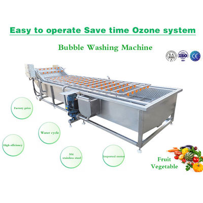 SS304 Fruit And Vegetable Processing Line Bubble Washing Machine