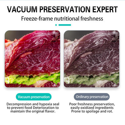 Sea Food Salted Meat Dry Fish Pork Beef Rice Double Chamber Vacuum Packer