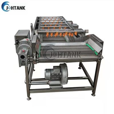 SUS304 Bubble Washer For Fruit And Vegetable Processing Line