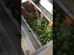 Soft Roller Washing Machine